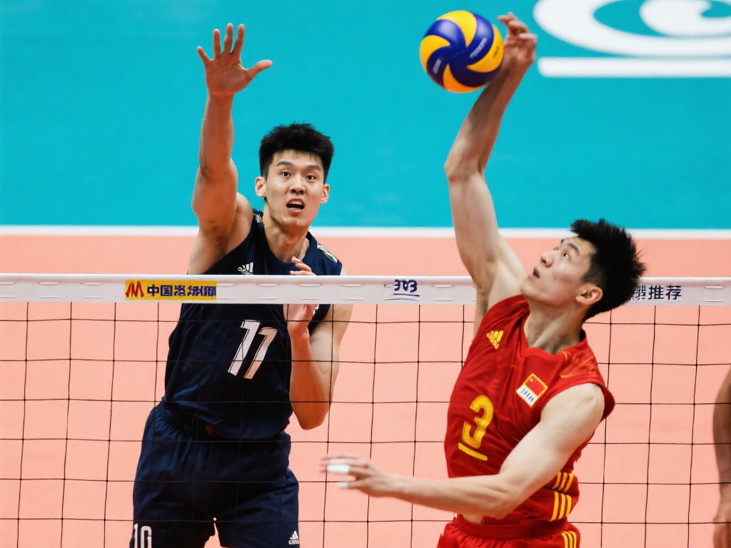 这将有助于 这将有助于